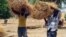 Nigerians of Cameroonian origin carry straw bales to build houses in a village of Tallamallabrahim, northern Cameroon, May 27, 2013, where they settled after fleeing Nigeria to escape massacres by the Islamic group Boko Haram.