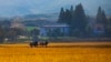 북한 포전담당제 3년: "국가-농민 분배 기준 만들어야"