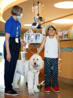 Kristin Gist and her dog Ollie meet 9-year-old Angel Garcia at Rady Children's Hospital (AP Photo: Mike Blake)