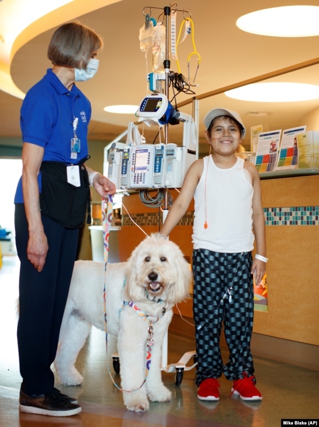 Kristin Gist and her dog Ollie meet 9-year-old Angel Garcia at Rady Children's Hospital (AP Photo: Mike Blake)