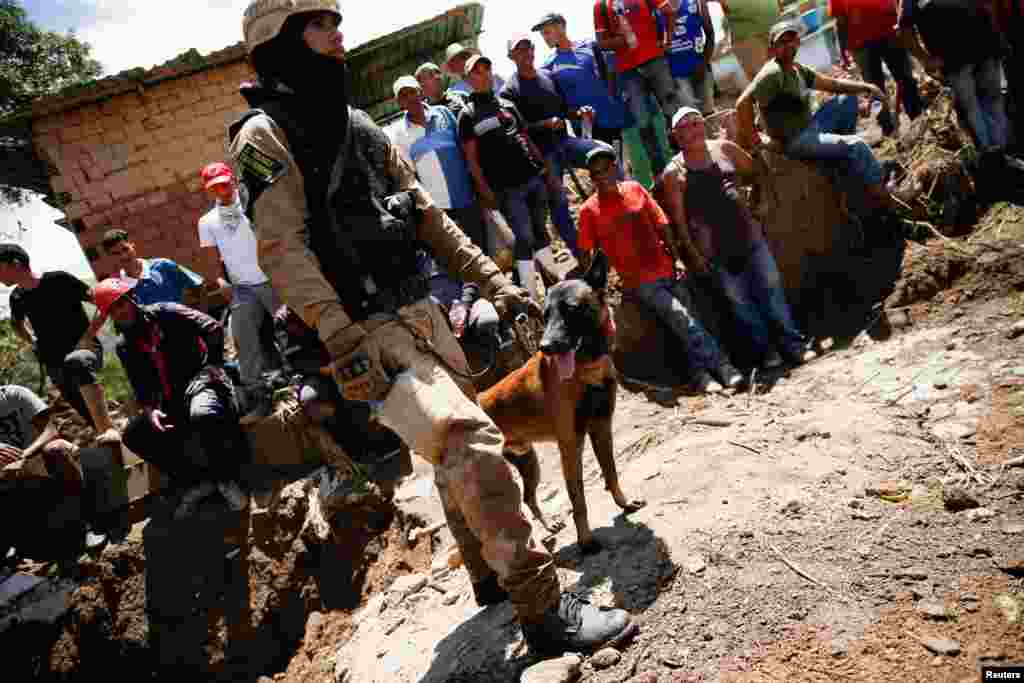 Un perro pastor belga del Servicio Nacional de Medicina y Ciencias Forenses, durante los trabajos de rescate en Las Tejerias, estado de Aragua, el 11 de octubre de 2022. REUTERS/ Leonardo Fernández Viloria