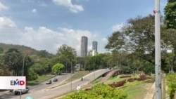 Expertos advierten que Venezuela sigue perdiendo sus "bosques urbanos" 