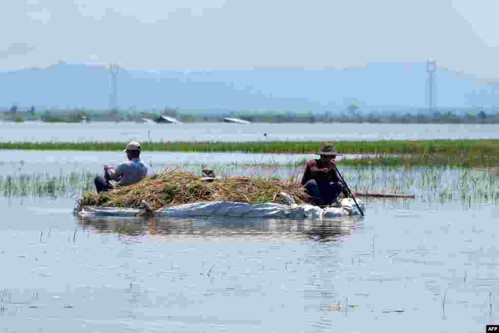 ကယားပြည်နယ် (သို့) ကရင်နီပြည်နယ် လွိုင်ကော်မြို့နယ်အတွင်းက ရေဘေးဒဏ်သင့် ဘုရားဖြူရွာမှာ စပါးတွေကို ရိတ်ပြီးလှေနဲ့သယ်လာတဲ့ လယ်သမားများ (စက်တင်ဘာ ၁၆၊ ၂၀၂၄)