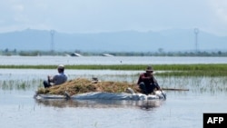 ကယားပြည်နယ် (သို့) ကရင်နီပြည်နယ် လွိုင်ကော်မြို့နယ်အတွင်းက ရေဘေးဒဏ်သင့် ဘုရားဖြူရွာမှာ စပါးတွေကို ရိတ်ပြီးလှေနဲ့သယ်လာတဲ့ လယ်သမားများ (စက်တင်ဘာ ၁၆၊ ၂၀၂၄)