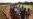 UN to Consider Mali Request for International Force
