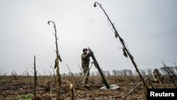 Військовик ЗСУ на лінії фронту на Запоріжжі, 16 листопада 2022. REUTERS/Stringer