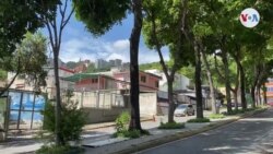 ¿Peligra el pulmón verde caraqueño? [Afiliadas]