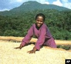 The US Chamber of Commerce is encouraging American businesses to invest in Ethiopian agriculture, which includes coffee and tea production