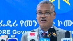 የኢትዮጵያ መንግሥት ሲቪሎች ላይ ያነጣጠረ ጥቃት ያደርሳል መባሉን አስተባበለ