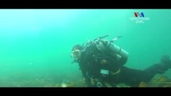 ԲԱՐԻ ԼՈՒՅՍ. Արման Թարջիմանյան՝ շրջակա միջավայրը