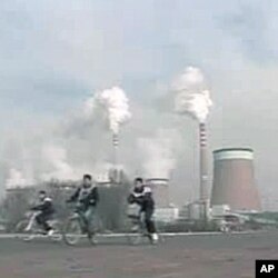 麦克说中国的做法是世界环境问题的一大原因