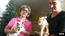 Myriam Rincón y sus hijas cuidan de 10 gatos y una perra que rescataron de la calle en Maracaibo, Venezuela.