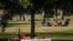 Rose Hill Memorial Park in Whittier, Calif., the biggest cemetery in North America, is struggling under a backlog of coronavirus-related burials, with the usual five- to seven-day wait period after death now stretched to more than a month.