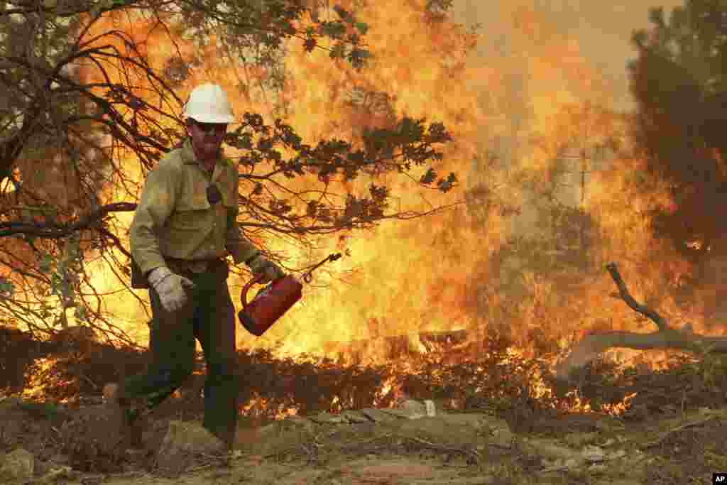 A member of the BLM Silver State Hotshot crew using a drip torch to set back fires on the southern flank of the Rim Fire in California, August 30, 2013. (U.S. Forest Service)