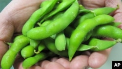 Edamame soybean varieties are a Taiwanese export. 
