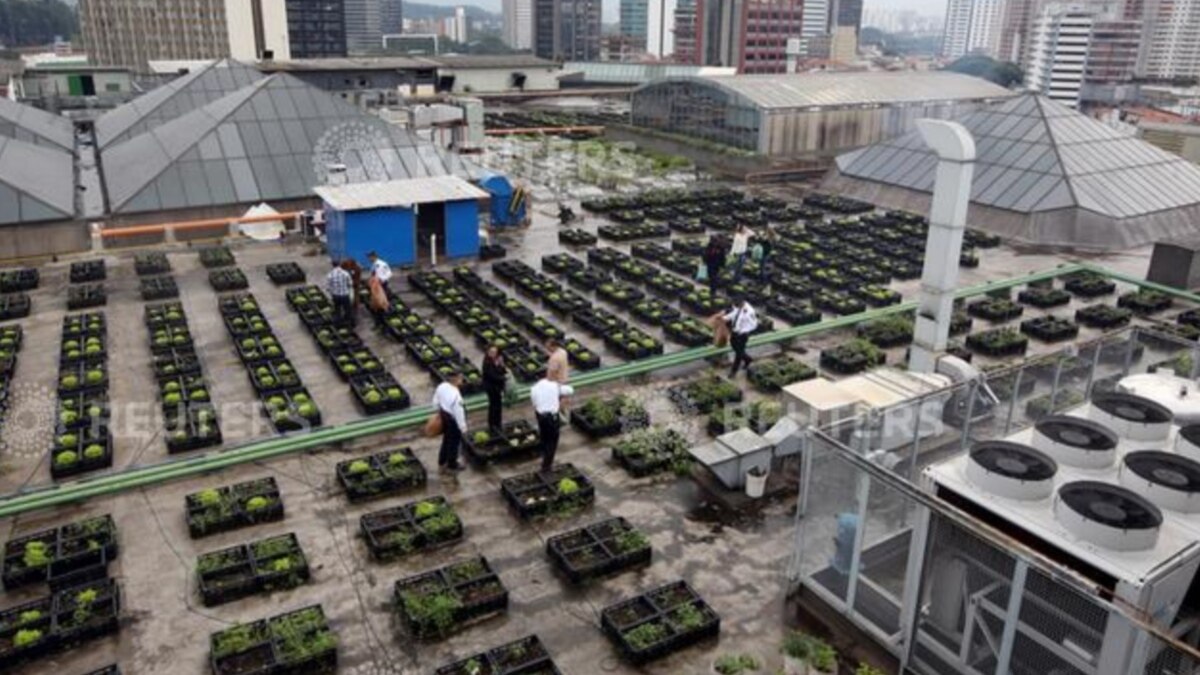 Mall in Brazil Composts to Reduce Carbon Footprint