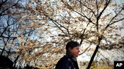 FILE - JoAnne Zoller Wagner - who was diagnosed with type 2 diabetes and exercises regularly to keep her blood sugar levels at a healthy, normal range - walks near her home in Pasadena, Maryland.