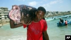 A Somali fisherman carries a fish called "Yapuri" as he walks from Hamarweyne beach in Mogadishu, Somalia, November 22, 2008. 