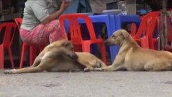 လူထုနဲ့ ကျန်းမာရေး