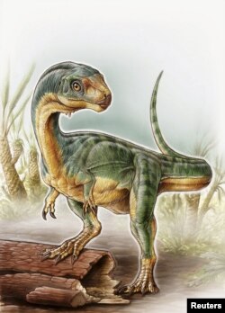 An artist's depiction shows the Chilesaurus diegosuarezi in this undated handout illustration provided by the University of Birmingham in Birmingham, Alabama, April 27, 2015.