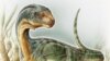 Fosil di Chile Perlihatkan Dinosaurus Berciri Aneh