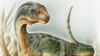 Fossils Found in Chile Depict Dinosaur With Weird Mix of Traits