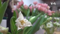 Easter Flowers ...