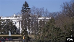 El árbol de Navidad se derrumbó debido a los fuertes vientos que azotaron a Washington.