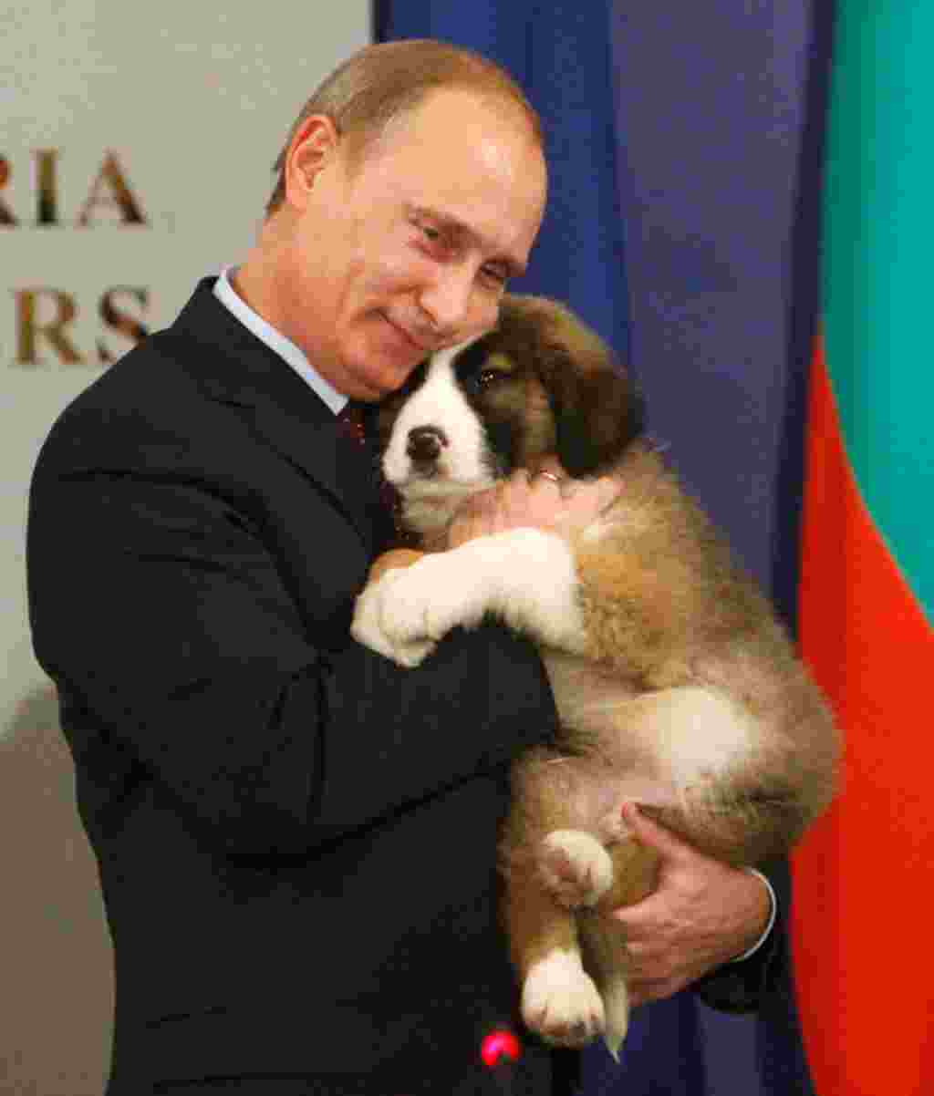 Putin abraza a un perro pastor búlgaro, un regalo del primer ministro de Bulgaria, Boiko Borisov.