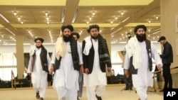 Afghanistan's Taliban delegation arrive for the agreement signing between Taliban and U.S. officials in Doha, Qatar, Feb. 29, 2020.