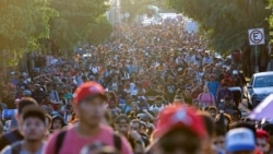 Rombongan migran berjalan menuju perbatasan utara Meksiko dari negara bagian Tapachula, pada 5 November 2024. (Foto: Reuters/Daniel Becerril)