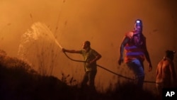 آتش سوزی های سال جاری بیشترین میزان تلفات در تاریخ پرتغال را داشته است