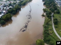 A new group of Central American migrants bound for the U.S border wade in mass across the Suchiate River, that connects Guatemala and Mexico, in Tecun Uman, Guatemala, Oct. 29, 2018.