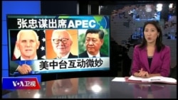 海峡论谈：彭斯APEC会张忠谋 不给习近平面子？