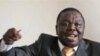 Southern Africa Mediators Report Progress in Zimbabwe Political Talks