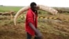 African Presidents Pledge to Stop Elephant Poachers
