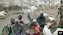 Men from cattle herding Mundari tribe in a settlement near Terekeka, Central Equatoria state, South Sudan, where South Sudanese reportedly voted overwhelmingly to declare independence from the north in a referendum, 19 Jan 2011