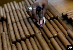 FILE - a worker selects cigars at the H. Upmann cigar factory, where people can take tours as part of the 15th annual Cigar Festival, in Havana, Cuba.