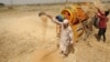FAO: Afganistán se enfrenta a una inminente hambruna 