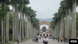 台灣大學校園 （美國之音張佩芝攝）
