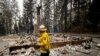 Dozens of Homes Burn as California Wildfire Siege Continues 