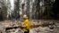 Cal Fire Division Chief Carmel Barnhart inspects a property, Aug. 18, 2021, after the Caldor Fire burned through Grizzly Flats, Calif. 