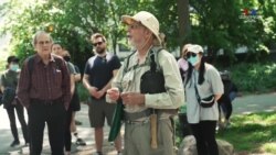 Վայրի սնունդ ճաշացանկում