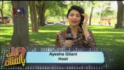 کہانی پاکستانی - امریکی سیاست اور پاکستانی