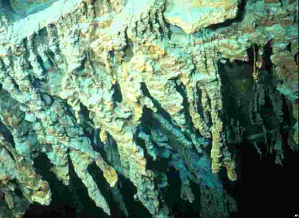 An iron-oxide eating microbe was discovered forming icicle-shaped rusticles on the legendary shipwreck, the Titanic. (RMS Titanic Inc.)