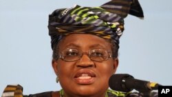 세계무역기구(WTO) 사무총장 추대가 유력한 나이지리아의 응고지 오콘조이웨알라 후보.