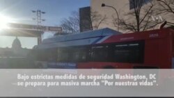 Todo queda listo en Washington, DC para marcha "Por nuestras vidas"