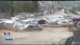 اخبار شبانگاهی