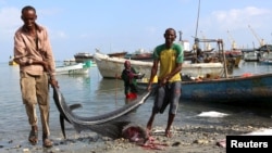 FILE - Fishermen carry fish from vessels in the Gulf of Aden to the shores of Bosasso, northern Somalia's breakaway Puntland region, April 15, 2015. 