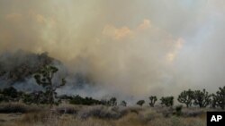 Photo provided by the Joshua Tree National Park shows a 300-acre fire in Joshua Tree National Park, east of Palm Springs on August 12, 2012. 